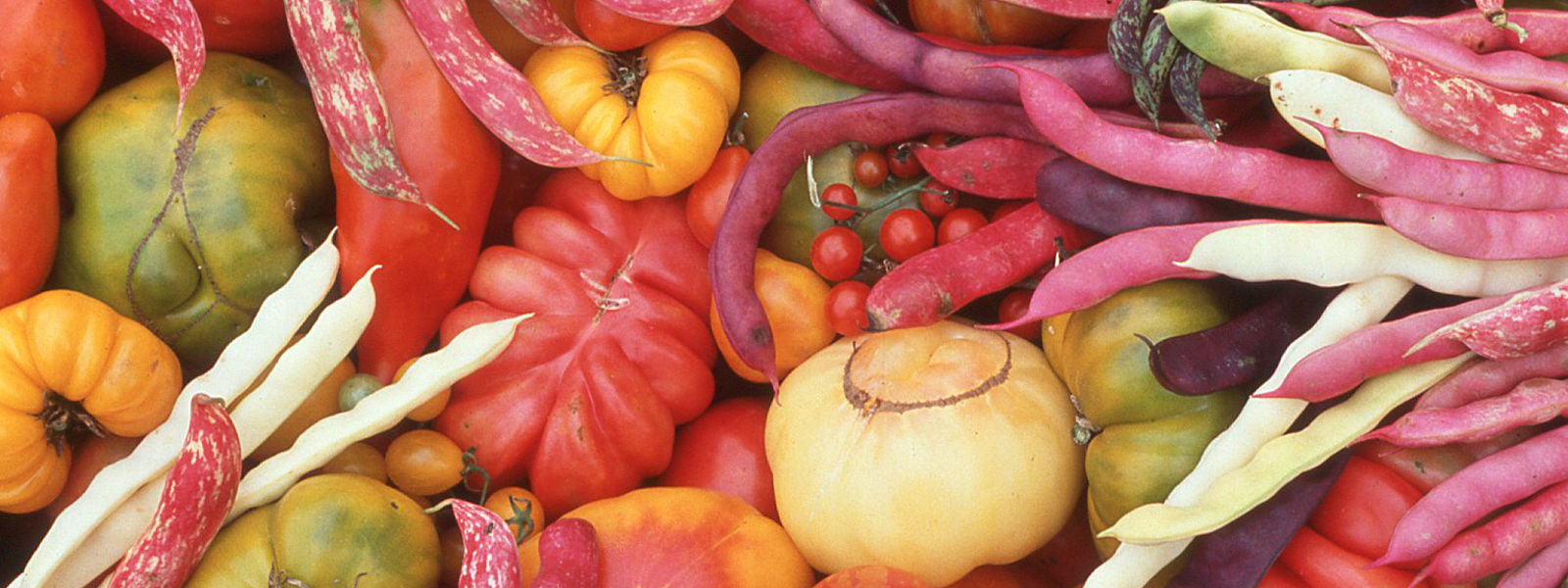 heirloom vegetable mandala